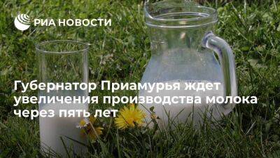 Василий Орлов - Губернатор Приамурья Орлов: через пять лет производство молока увеличится на 48 тысяч тонн - smartmoney.one - Амурская обл.