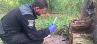 Андрей Небытов - Останки человека нашли под Киевом, что известно: "Присыпали землей" - politeka.net - Украина - Киев - Киевская обл.