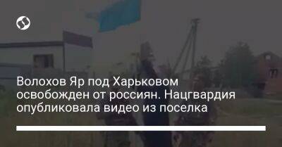 Владимир Зеленский - Волохов Яр под Харьковом освобожден от россиян. Нацгвардия опубликовала видео из поселка - liga.net - Украина - Харьковская обл. - Харьков
