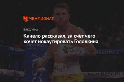 Геннадий Головкин - Канело рассказал, за счёт чего хочет нокаутировать Головкина - championat.com - США - Казахстан - Вегас