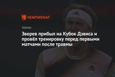 Александр Зверев - Ян-Леннард Штруфф - Оскар Отте - Кубок Дэвис - Зверев прибыл на Кубок Дэвиса и провёл тренировку перед первыми матчами после травмы - championat.com - Россия - США - Бельгия - Австралия - Белоруссия - Германия - Франция