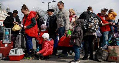 В Польше ужесточаются правила для украинских беженцев: что изменится с марта - cxid.info - Россия - Украина - Польша - с. 1 Марта