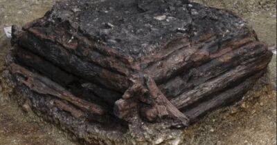 В Германии обнаружен 3000-летний деревянный колодец для загадывания желаний - focus.ua - Украина - Германия - Находка