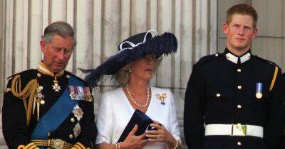 принц Гарри - принцесса Диана - Камилла Паркер-Боулз - Принц Гарри публично оскорбил жену отца - focus.ua - Украина - Англия