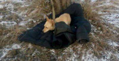 Украинец ценой собственной жизни спас свою собаку: в полиции сообщили подробности, кадры с места - popcorn.politeka.net - Украина - Киевская обл.