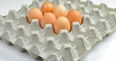 Европейцы могут утеплять дома упаковками от яиц и ланч-боксами - produkt.by - Англия - Египет - Белоруссия - Каир