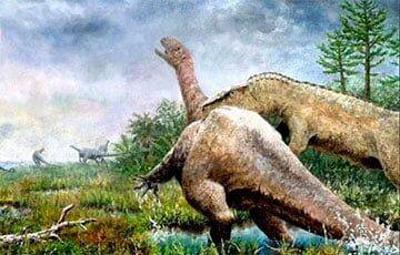 Ученые обнаружили «гения» среди динозавров - charter97.org - Белоруссия