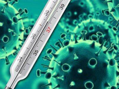 Заболеваемость гриппом и ОРВИ в Одессе значительно ниже эпидпорога | Новости Одессы - koronavirus.center - Украина - Одесса - населенный пункт Одесский