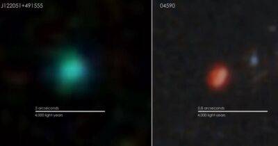 Джеймс Уэбб - Вселенная - "Зеленый горошек" в космосе. Обнаружена очень редкая и самая примитивная галактика - focus.ua - Украина