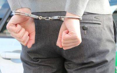 Мужчина арестован за хранение наркотиков и трех сов - vkcyprus.com - Кипр - Никосия
