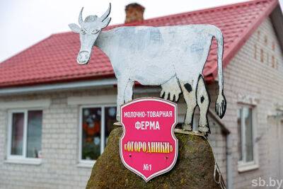 В Брестской области в 2022 году произвели 1 миллион 986 тысяч тонн молока - produkt.by - Белоруссия - Пинск - район Пружанский