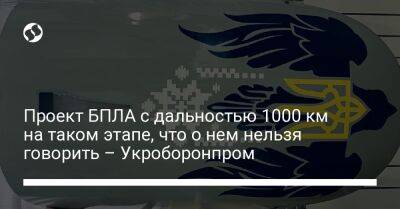 Проект БПЛА с дальностью 1000 км на таком этапе, что о нем нельзя говорить – Укроборонпром - liga.net - Украина