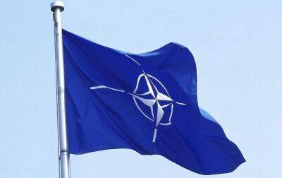 Єнс Столтенберг - Ентоні Блінкен - Финляндия - У Ердогана заявили, що строк ратифікації вступу Швеції та Фінляндії до НАТО закінчується - rbc.ua - США - Турция - Україна - Курдистан - місто Анкара - Швеція - Фінляндія
