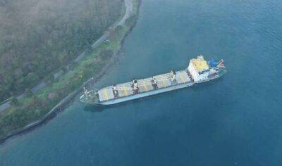 У Босфорській протоці сіло на мілину судно з українським зерном - lenta.ua - Украина - Палау
