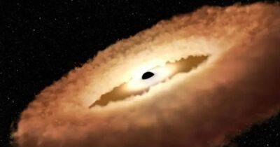 Космический телескоп Хаббл увидел, как черная дыра "съедает" звезду и превращает ее в пончик (видео) - focus.ua - Украина
