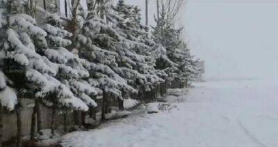 Не менее 20 человек погибли в Афганистане из-за резкого похолодания и снегопадов - dialog.tj - Афганистан - Пакистан