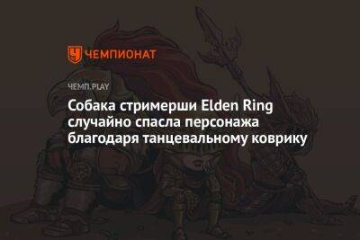 Собака стримерши Elden Ring случайно спасла персонажа благодаря танцевальному коврику - championat.com