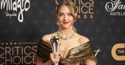 Аманда Сейфрид - У Аманды Сейфрид во время церемонии Critics Choice Awards порвалось платье от Dior - focus.ua - Украина