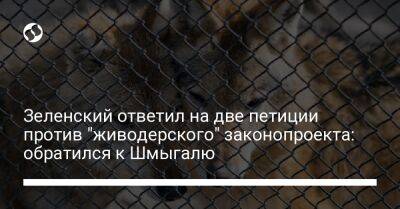 Владимир Зеленский - Денис Шмыгалю - Зеленский ответил на две петиции против "живодерского" законопроекта: обратился к Шмыгалю - liga.net - Украина