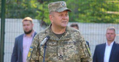Валерий Залужный - Залужный впервые встретился с американским генералом Милли: что обсуждали - dsnews.ua - США - Украина - Польша