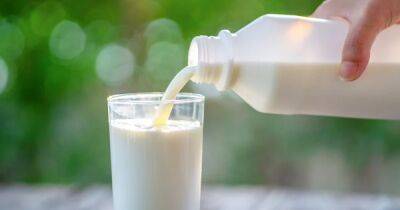 Повлияло на переносимость лактозы. Ученые провели исследование, как древние люди употребляли молоко - focus.ua - Украина