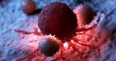 Здоровые раковые клетки. Ученые научились возвращать клеткам рака обычное состояние - focus.ua - Украина