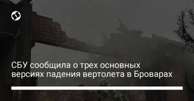 Андрей Костин - СБУ сообщила о трех основных версиях падения вертолета в Броварах - liga.net - Украина - Киевская обл.