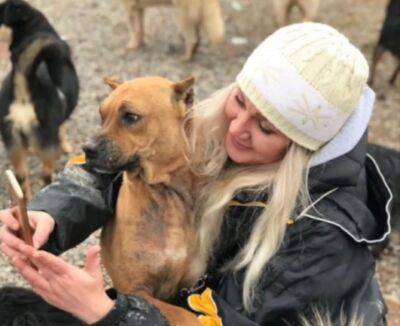 На нем не было живого места, одни шрамы. Как пес, бывший приманкой для бойцовских собак, получил шанс на нормальную жизнь - podrobno.uz - Узбекистан - Ташкент