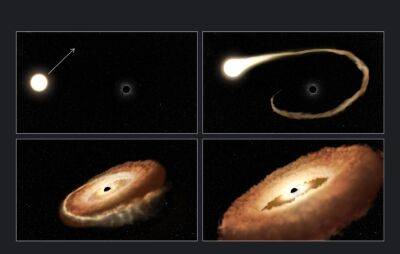 Телескоп Хаббл показал, как сверхмассивная черная дыра пожирает маленькую звезду — это уникальное событие, случающееся несколько раз в 100 000 лет - itc.ua - Украина - Луганск