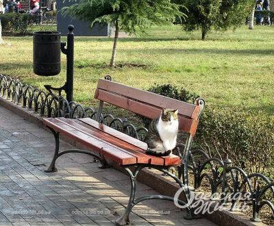 Погода в Одессе: каков прогноз на понедельник 2 января 2023 | Новости Одессы - odessa-life.od.ua - Украина - Одесса - Одесская обл.