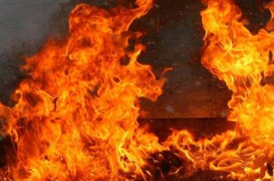 Во Франции - Во Франции в новогоднюю ночь сожгли почти 700 автомобилей - unn.com.ua - Украина - Киев - Германия - Франция - Париж - Марсель