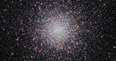 Космический телескоп Хаббл показал рой звезд в космическом улье: в чем его особенность (фото) - focus.ua - Украина