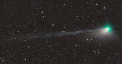 Появилось изображение кометы, которая прилетает раз в 50 тыс. лет: Солнце "оторвало" ее хвост (фото) - focus.ua - Австрия - Украина - Германия