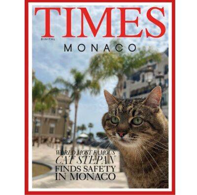 История кота Степана из Харькова попала на обложку Times Monaco Magazine - objectiv.tv - Украина - Монако