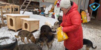 На Харьковщине женщина осталась в оккупации, чтобы спасти животных в селе - objectiv.tv - Россия - Украина