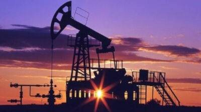 Уолли Адейемо - США и союзники согласились ввести две предельные цены на российские нефтепродукты - pravda.com.ua - Россия - США