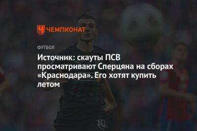 Виктор Гончаренко - Эдуард Сперцяна - Источник: скауты ПСВ просматривают Сперцяна на сборах «Краснодара». Его хотят купить летом - championat.com - Армения - Краснодар