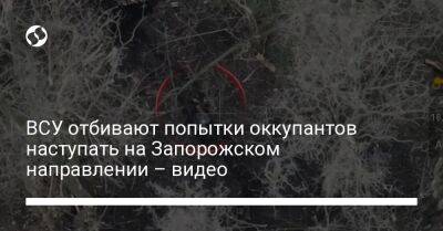 ВСУ отбивают попытки оккупантов наступать на Запорожском направлении – видео - liga.net - Украина