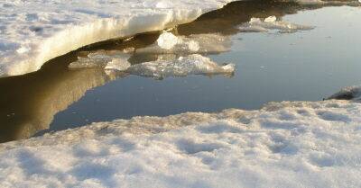 Пытаясь спасти провалившуюся по лед собаку утонул мужчина - rus.delfi.lv - Латвия