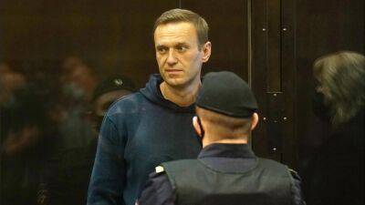Алексей Навальный - Леонид Волков - В Берлине установили копию камеры Навального в ШИЗО - svoboda.org - Россия - Украина - Берлин