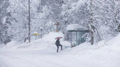 Сильнейшие снегопады на Мальорке и Адриатическом побережье - ru.euronews.com - Италия - Хорватия - Словения - Любляна