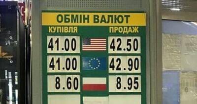 Курс доллара и евро на 24 января 2023 года: межбанк, обменники и наличный рынок - cxid.info - Украина