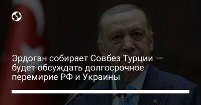 Реджеп Тайип Эрдоган - Эрдоган собирает Совбез Турции — будет обсуждать долгосрочное перемирие РФ и Украины - liga.net - Россия - Украина - Турция - Анкара