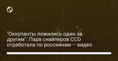 "Оккупанты ложились один за другим". Пара снайперов ССО отработала по россиянам – видео - liga.net - Украина