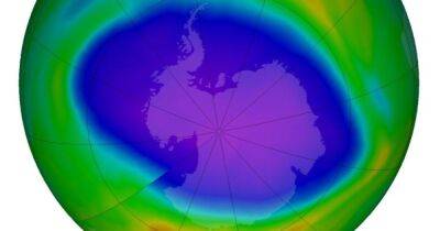 Огромная трещина в небе. Ученые ожидают скорое увеличение озоновой дыры над Антарктидой - focus.ua - Украина - Антарктида - Тонга