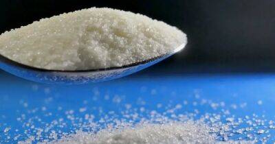 Влияет на генетическом уровне. Ученые обнаружили, что употребление соли меняет поведение - focus.ua - Украина - Иерусалим