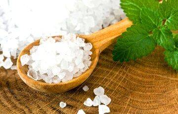 Ученые рассказали, как употребление соли меняет поведение - charter97.org - Белоруссия - Иерусалим