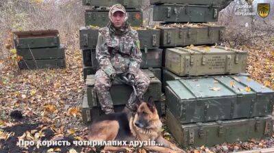 Песни под гитару и собаки в окопах: 92 ОМБр поделилась видео с передовой - objectiv.tv - Россия - Украина - Луганск
