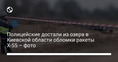 Андрей Небытов - Полицейские достали из озера в Киевской области обломки ракеты Х-55 – фото - liga.net - Украина - Киевская обл.