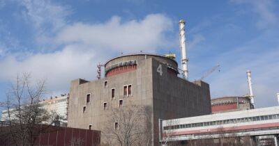 Рафаэль Гросси - В МАГАТЭ заявили о мощных взрывах вблизи Запорожской АЭС - dsnews.ua - Россия - Украина